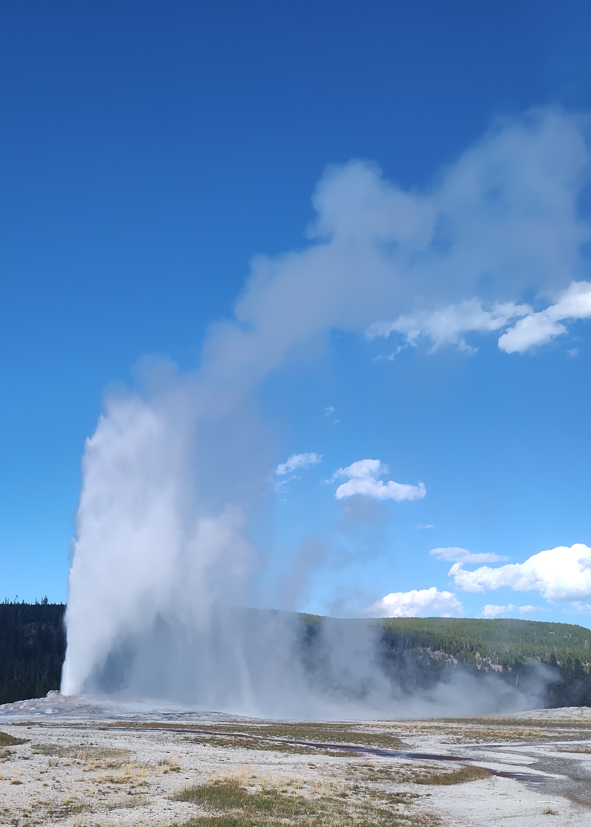 Old Faithful